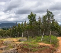 Terreno en venta en San Nicolás — foto 10