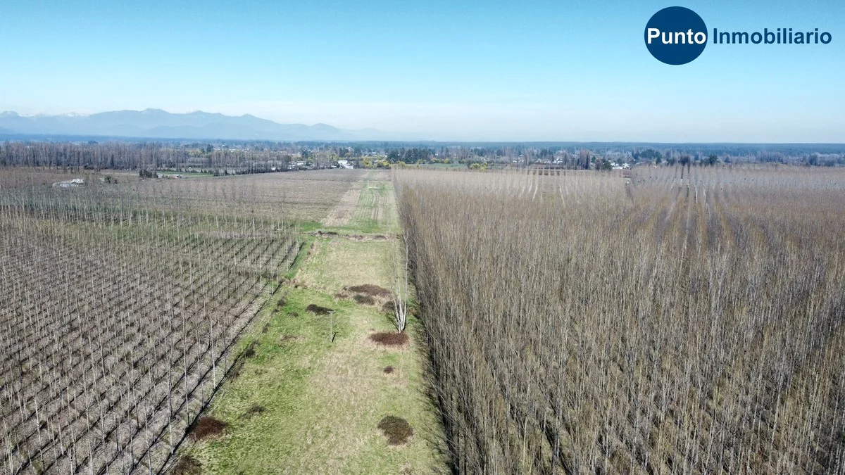 Parcela en venta en Parral — foto 6