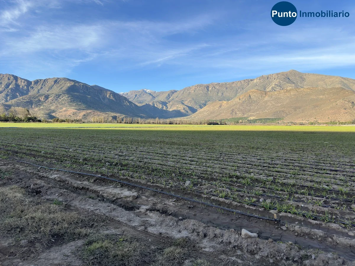 Parcela en venta en Catemu — foto 9