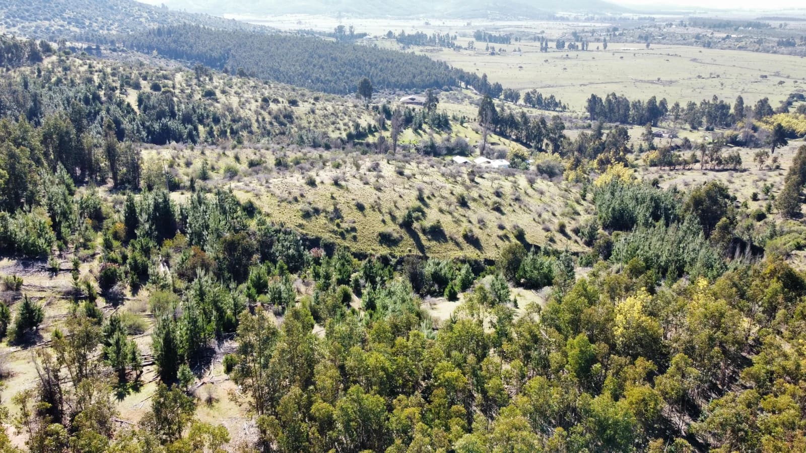 Parcela en venta en San Nicolás — foto 8