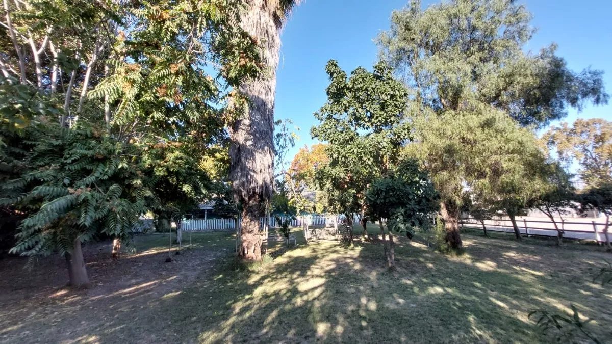 Terreno en venta en San Bernardo — foto 3