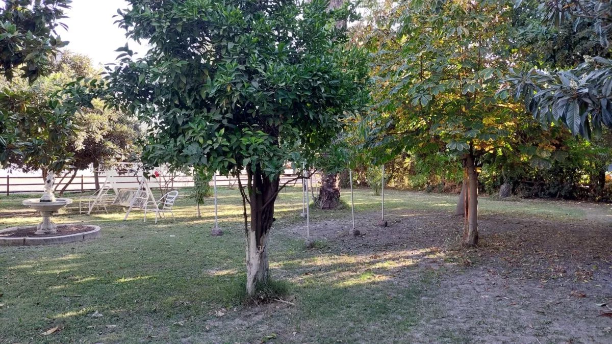 Terreno en venta en San Bernardo — foto 7