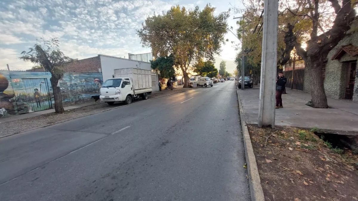 Terreno en venta en San Bernardo — foto 2