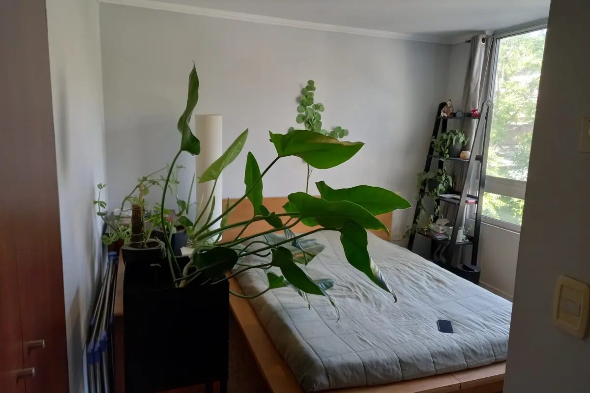 Departamento en venta en Providencia — foto 7