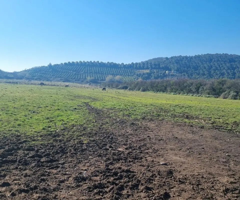 Terreno en venta en Melipilla — foto 2