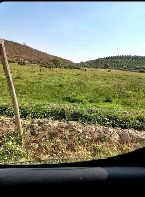 Terreno en venta en Melipilla — foto 10