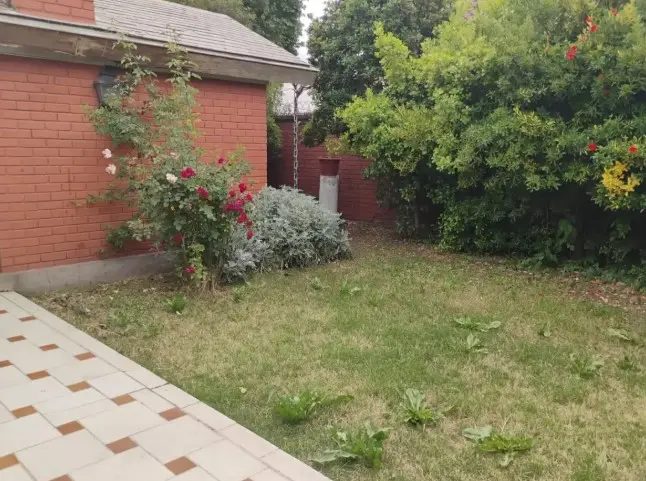 Local comercial en arriendo en San Bernardo — foto 2