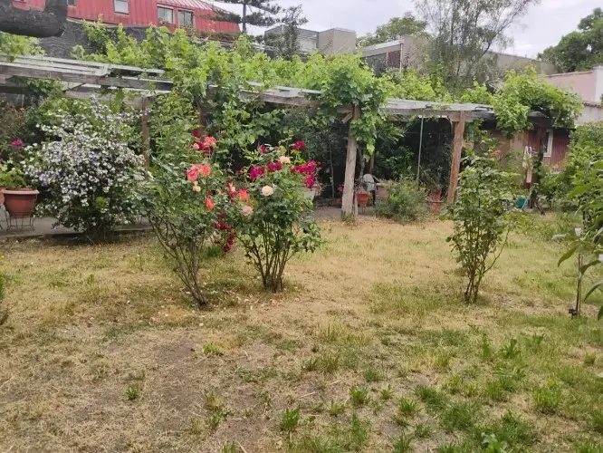 Local comercial en arriendo en San Bernardo — foto 7