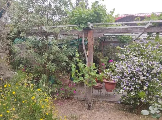 Local comercial en arriendo en San Bernardo — foto 10