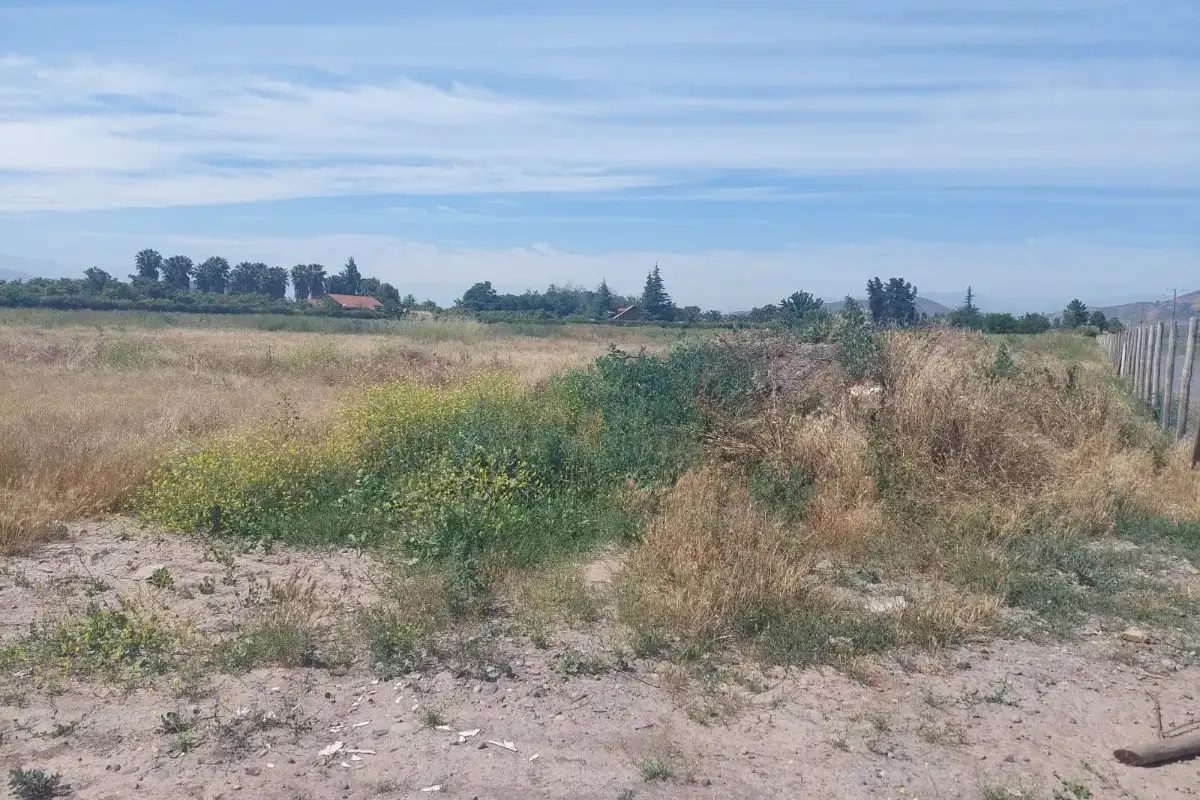 Terreno en venta en San Bernardo — foto 9