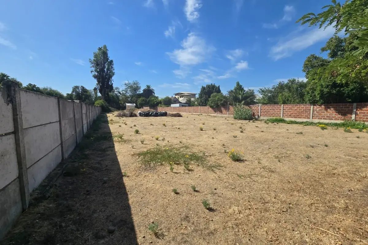 Terreno en arriendo en Peñaflor — foto 4