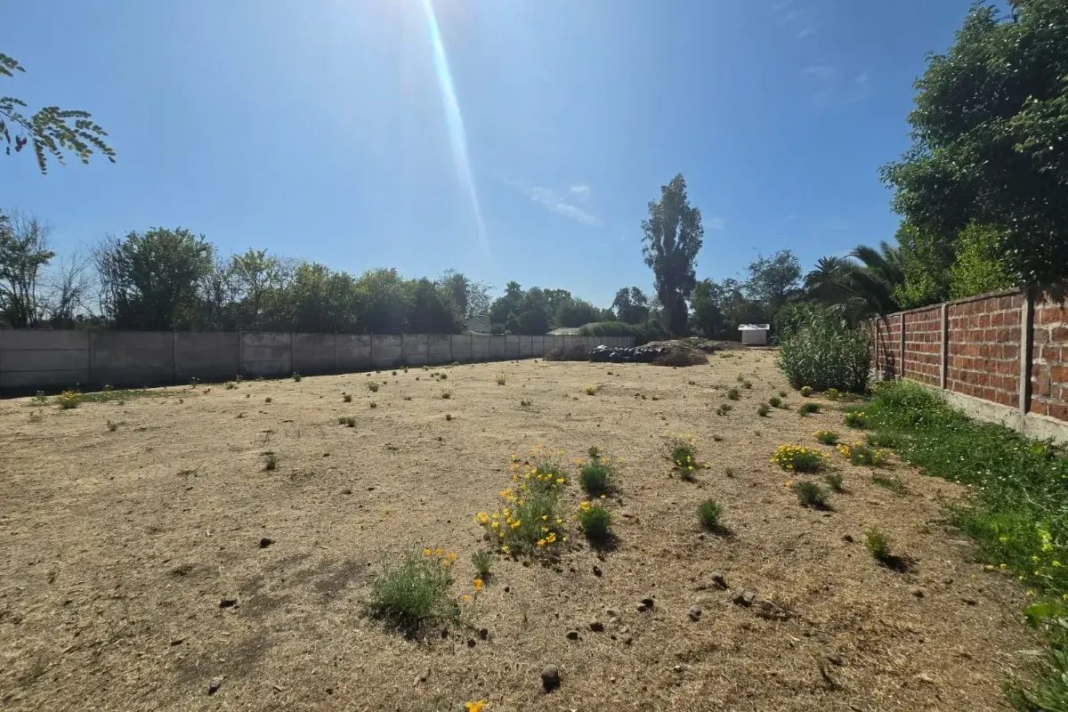 Terreno en arriendo en Peñaflor — foto 6