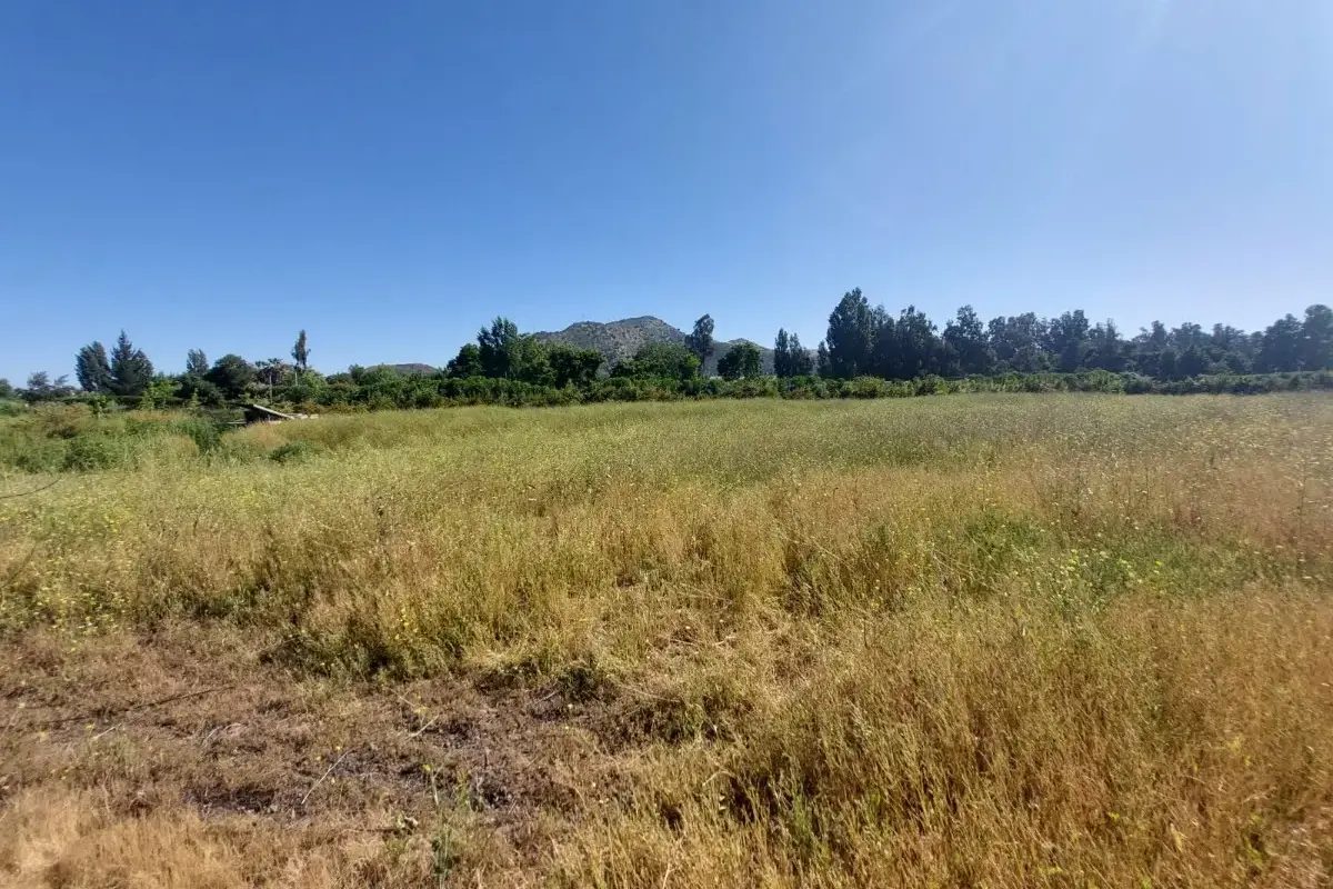 Parcela en venta en Calera de Tango — foto 2
