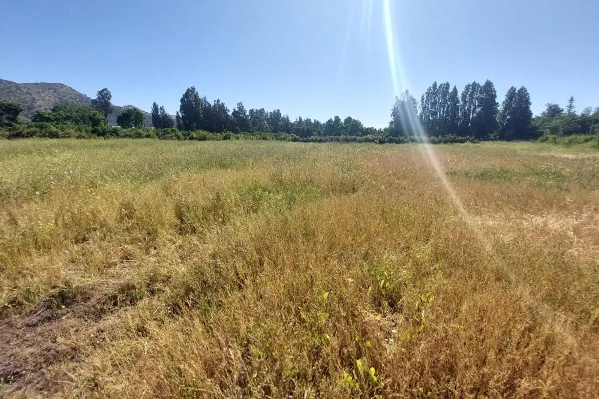 Parcela en venta en Calera de Tango — foto 4