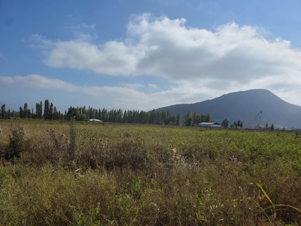 Terreno en venta en San Vicente — foto 2