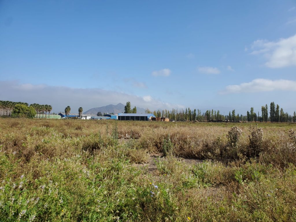 Terreno en venta en San Vicente — foto 3
