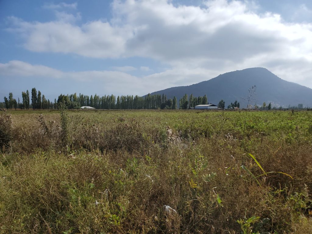 Terreno en venta en San Vicente — foto 4
