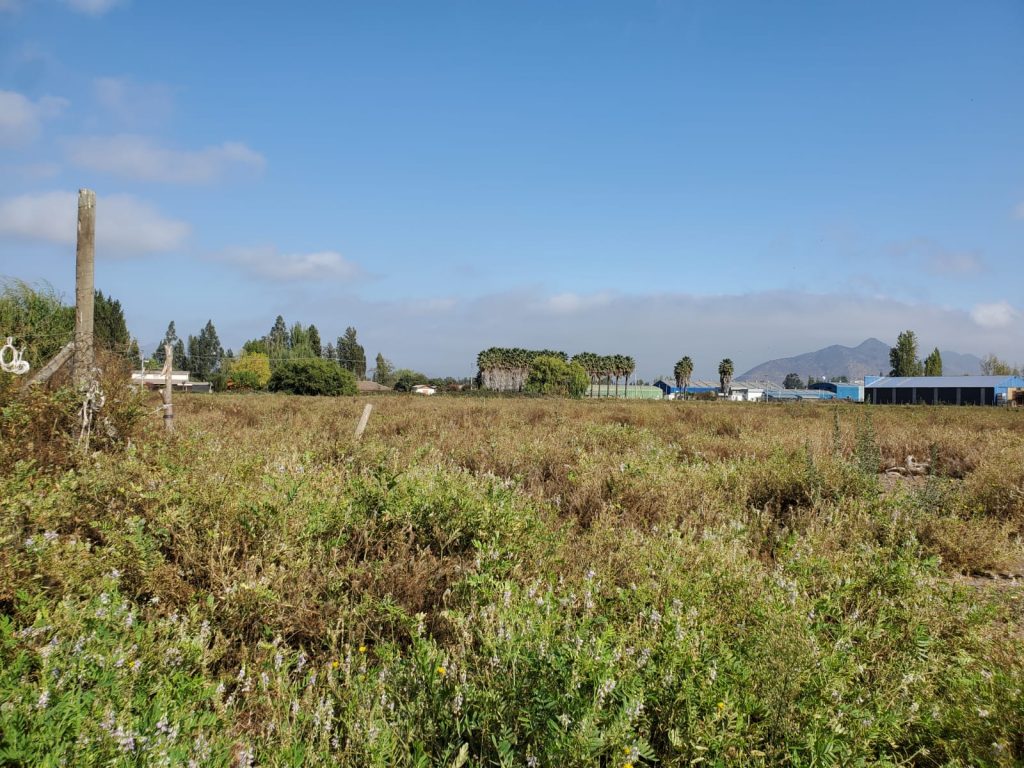 Terreno en venta en San Vicente — foto 5