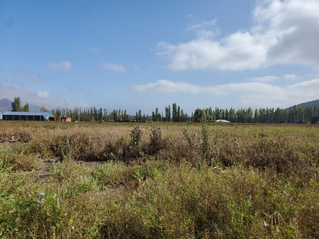Terreno en venta en San Vicente — foto 6