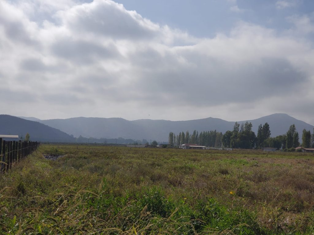 Terreno en venta en San Vicente — foto 7