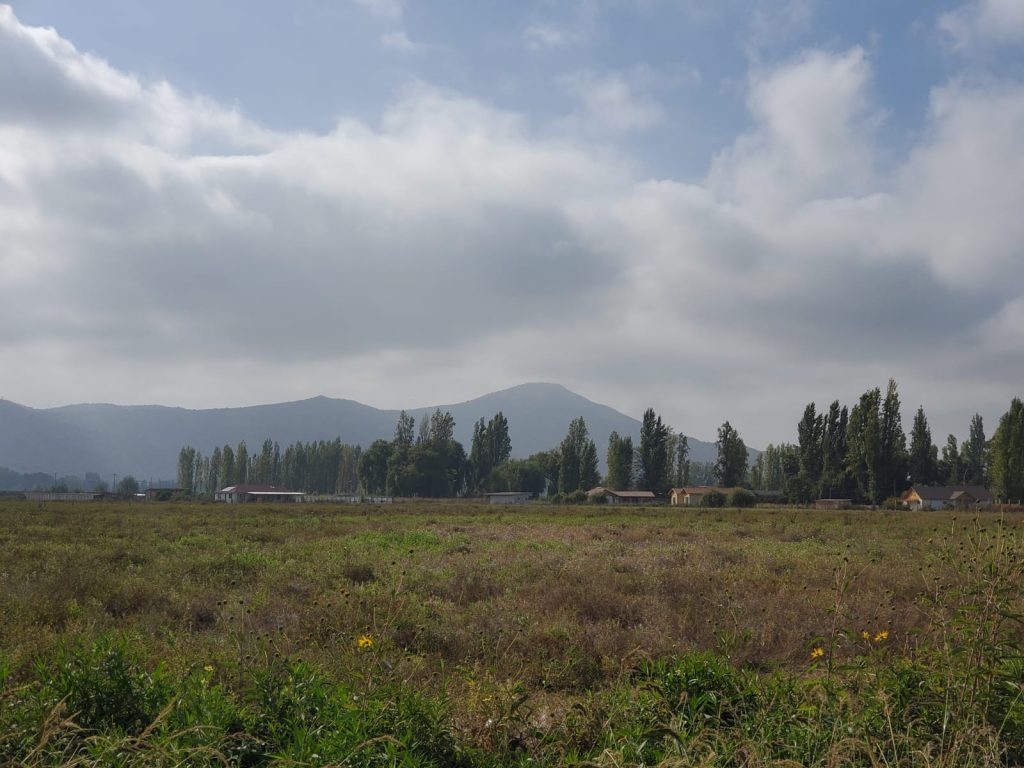 Terreno en venta en San Vicente — foto 8