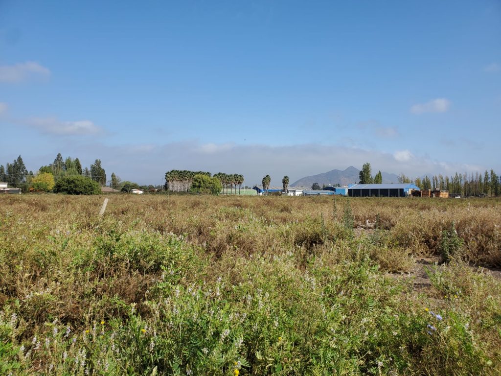 Terreno en venta en San Vicente — foto 9