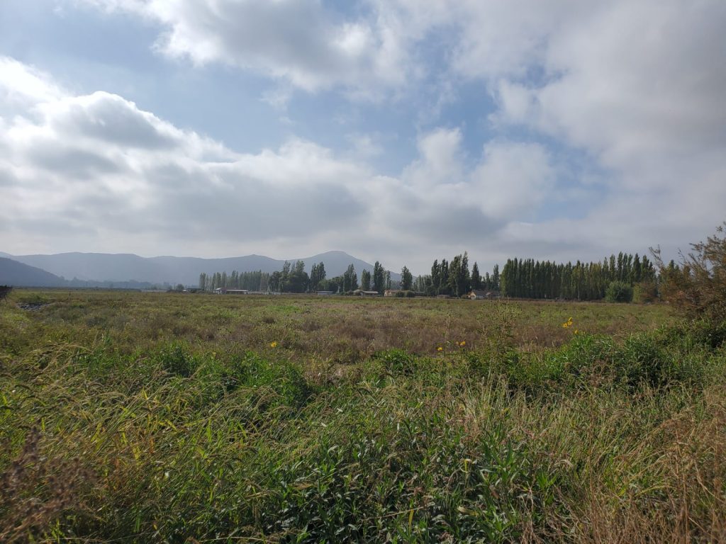 Terreno en venta en San Vicente — foto 10