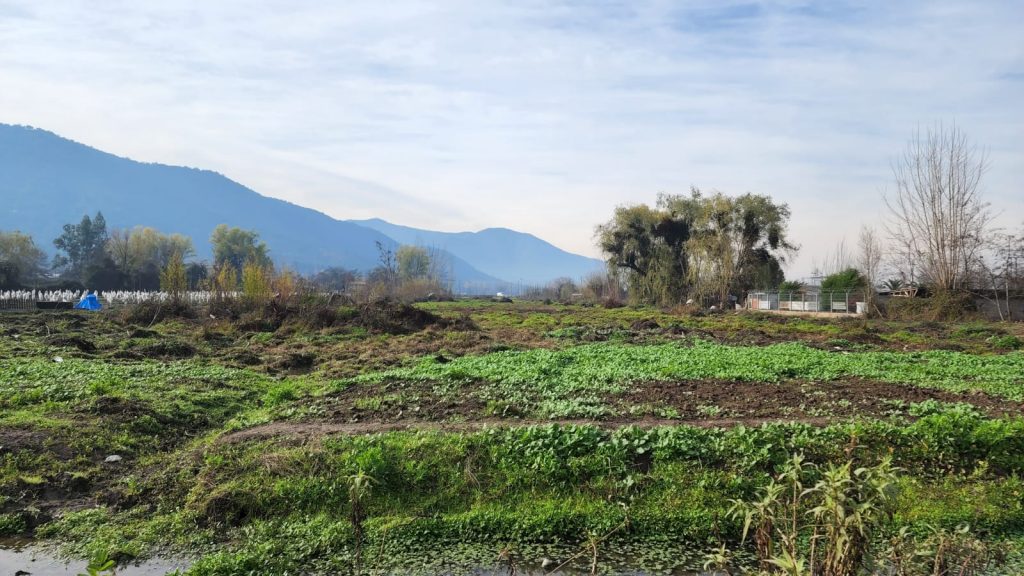 Terreno en venta en Las Cabras — foto 2