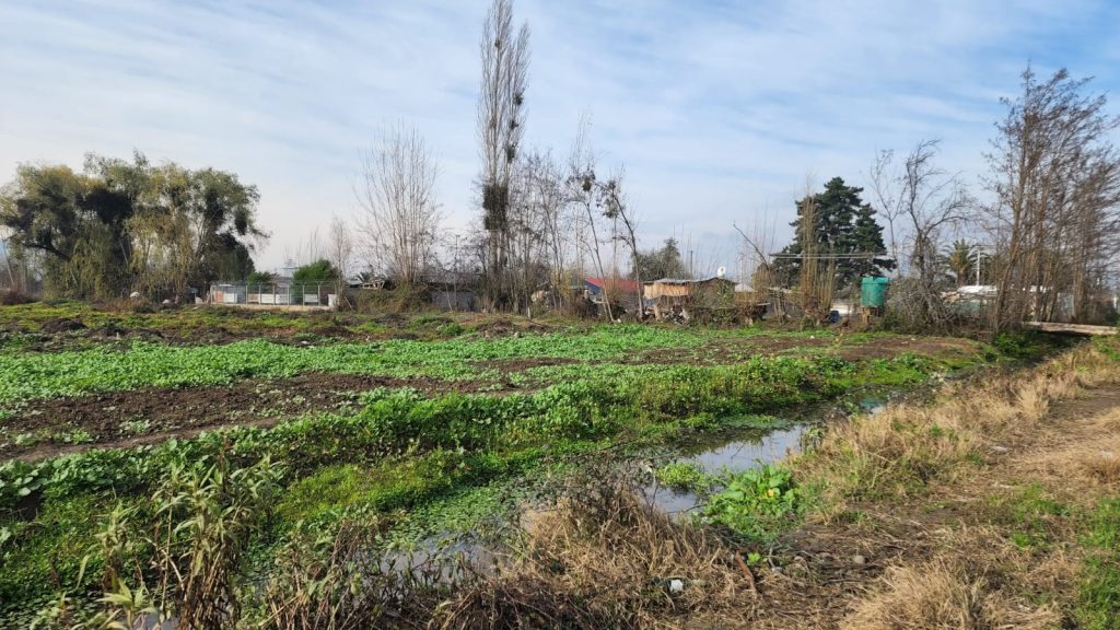 Terreno en venta en Las Cabras — foto 5