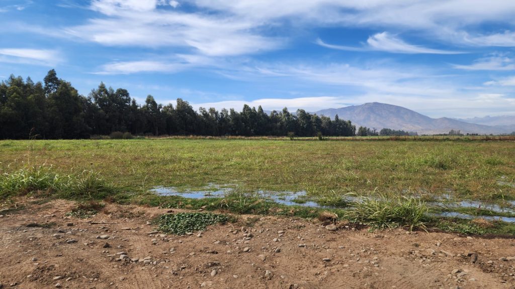 Terreno en venta en Machalí — foto 4