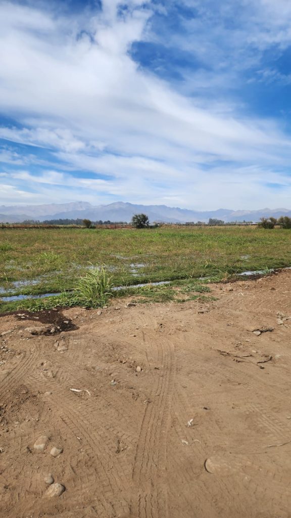 Terreno en venta en Machalí — foto 6