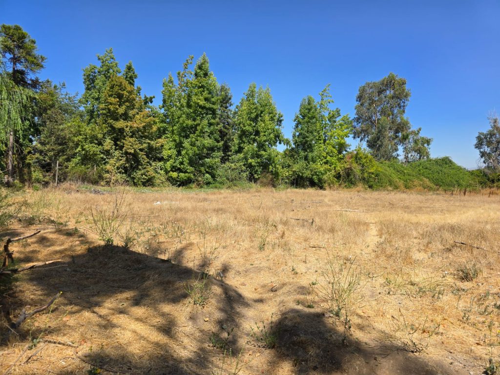 Terreno en venta en Machalí — foto 3