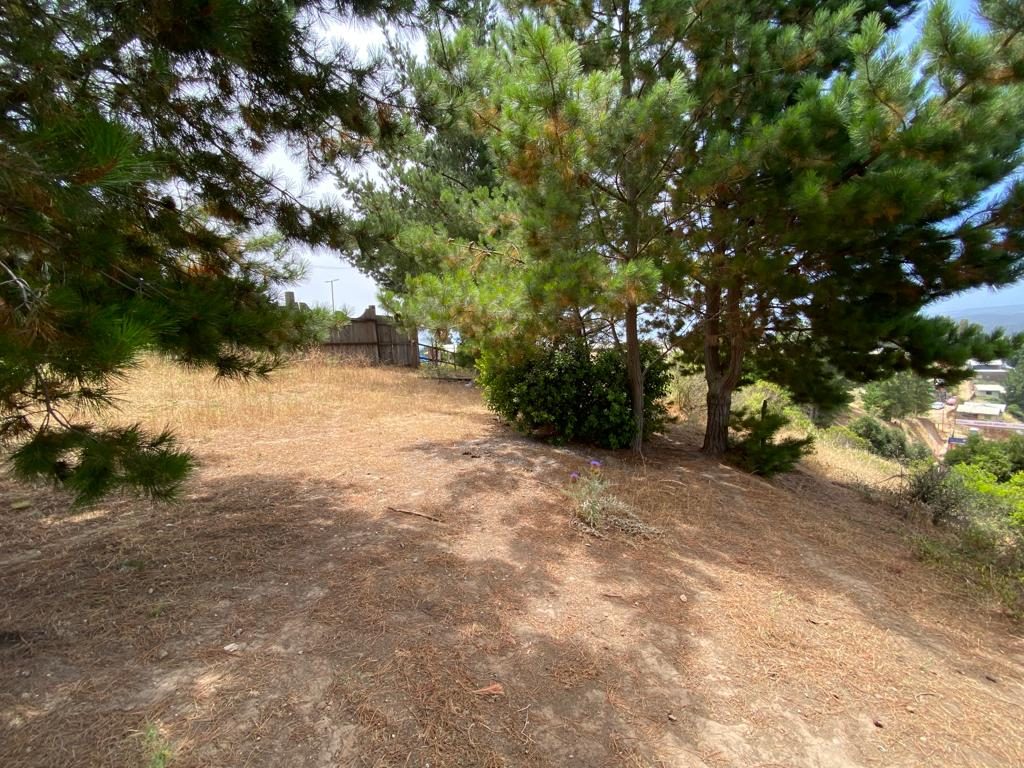 Terreno en venta en Pichilemu — foto 3