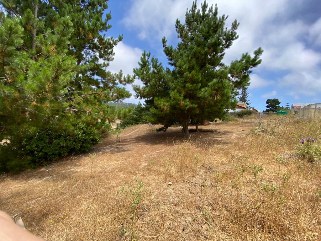 Terreno en venta en Pichilemu — foto 4