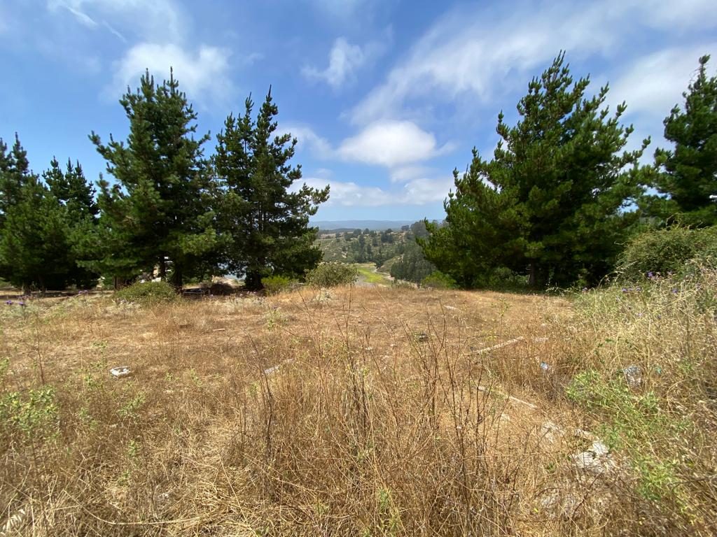 Terreno en venta en Pichilemu — foto 5