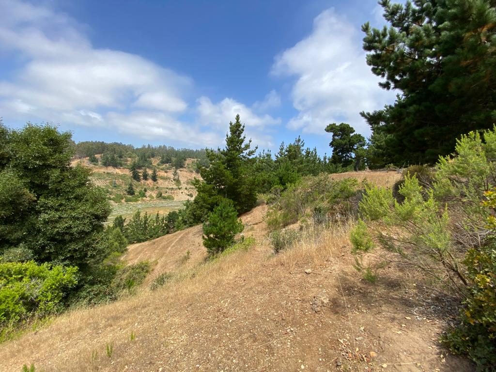 Terreno en venta en Pichilemu — foto 6