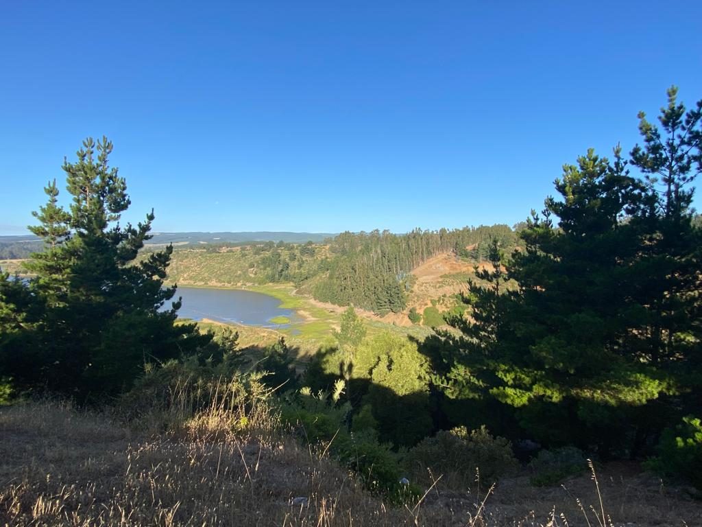 Terreno en venta en Pichilemu — foto 7