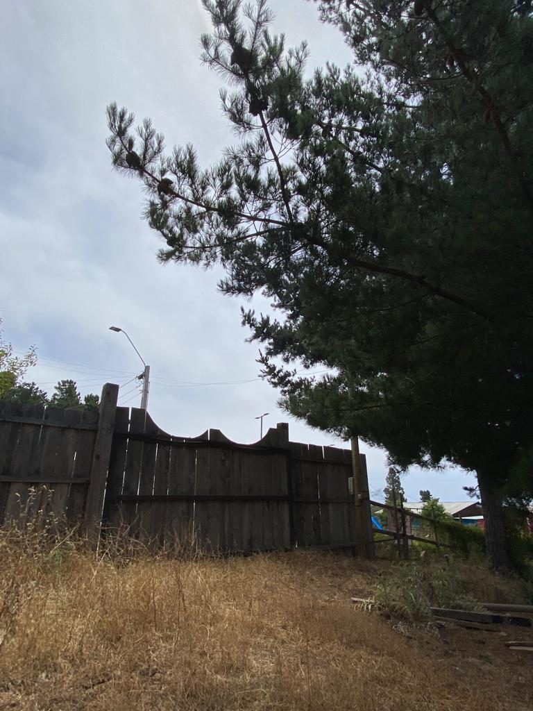 Terreno en venta en Pichilemu — foto 9
