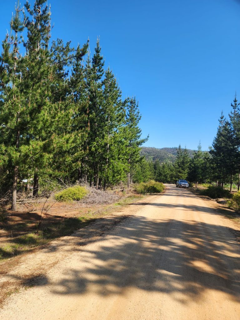 Terreno en venta en Paredones — foto 2