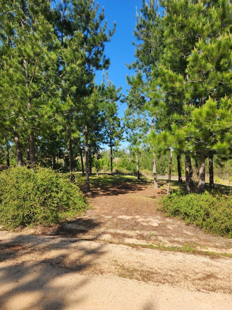 Terreno en venta en Paredones — foto 7