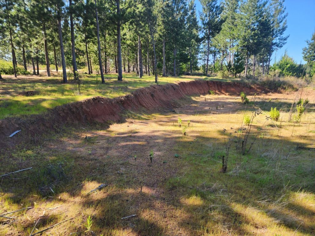 Terreno en venta en Paredones — foto 9