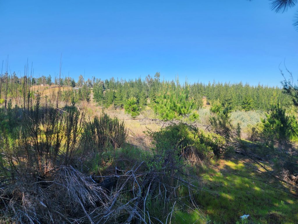 Terreno en venta en Paredones — foto 10