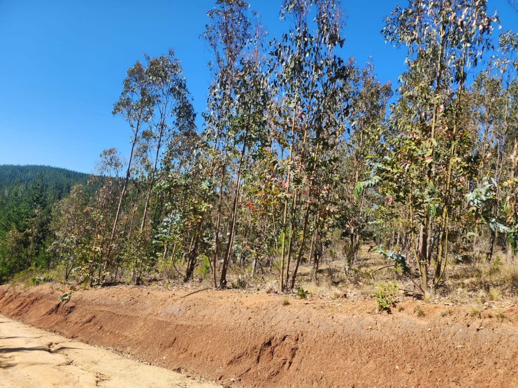 Terreno en venta en Pichilemu — foto 3