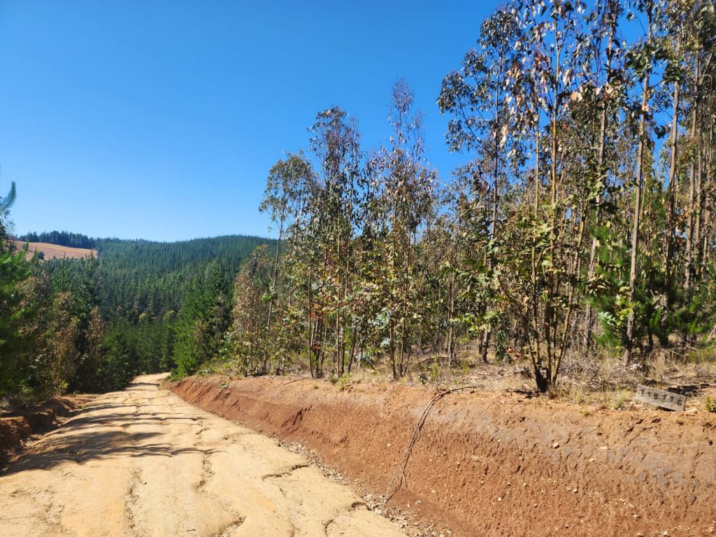 Terreno en venta en Pichilemu — foto 6