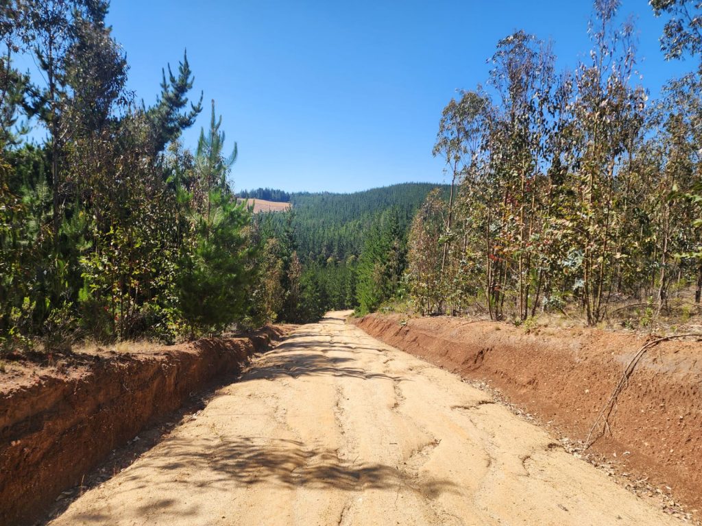 Terreno en venta en Pichilemu — foto 8