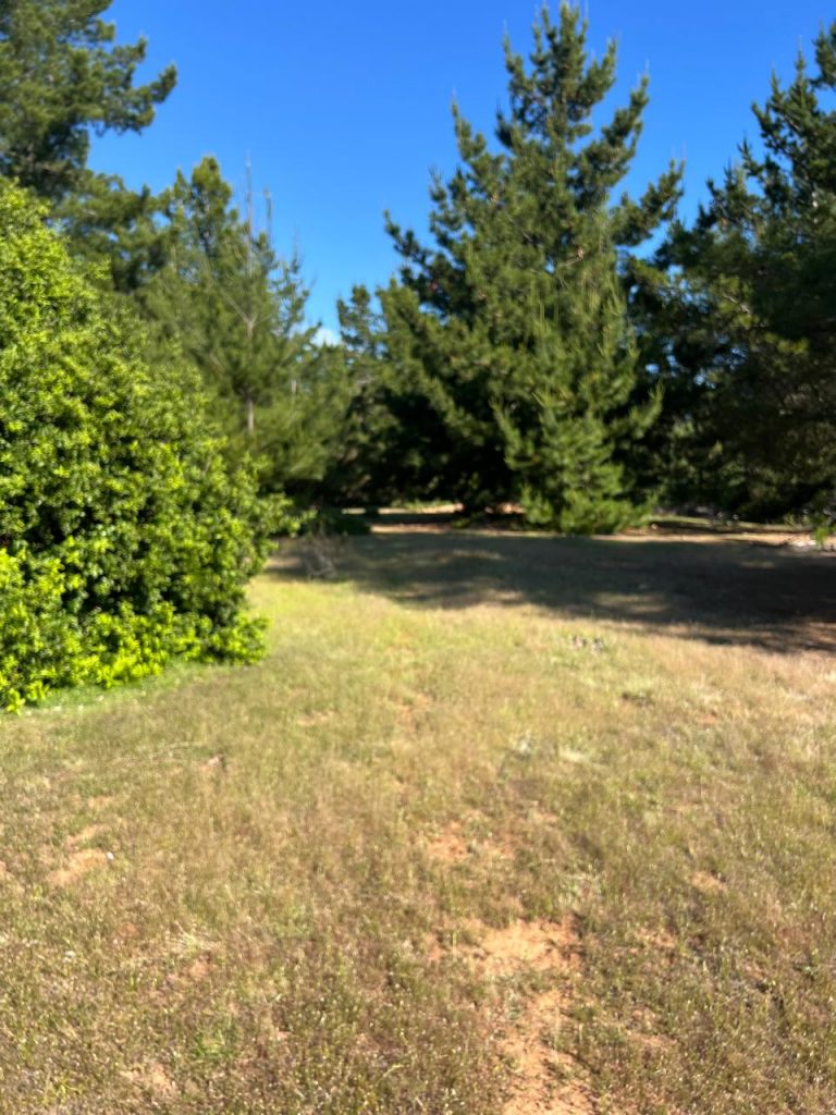 Terreno en venta en Pichilemu — foto 3