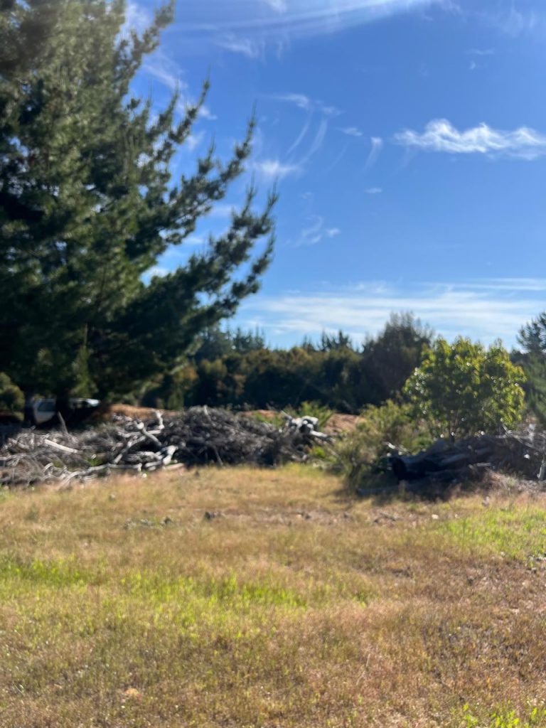 Terreno en venta en Pichilemu — foto 4