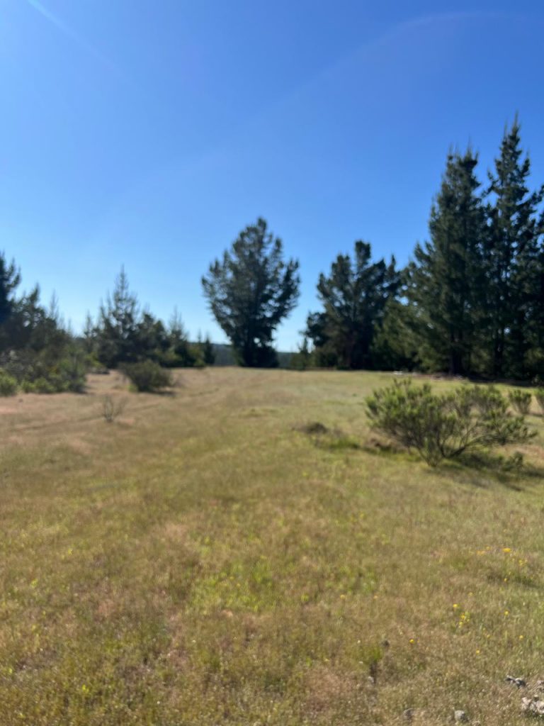 Terreno en venta en Pichilemu — foto 5