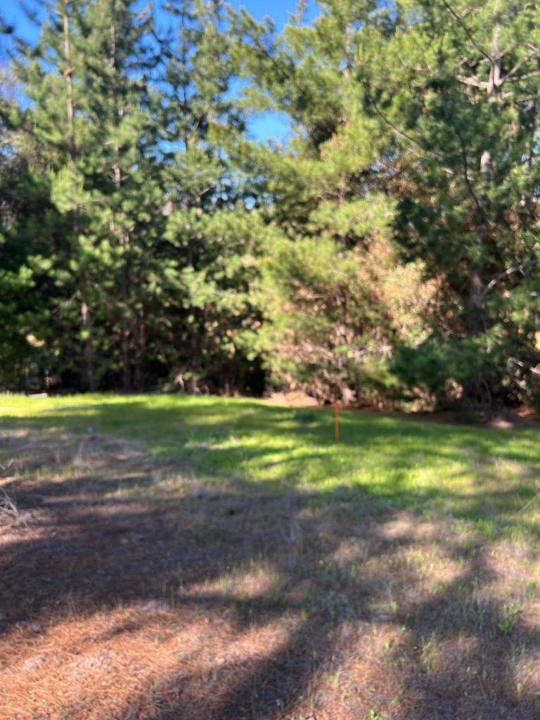 Terreno en venta en Pichilemu — foto 6