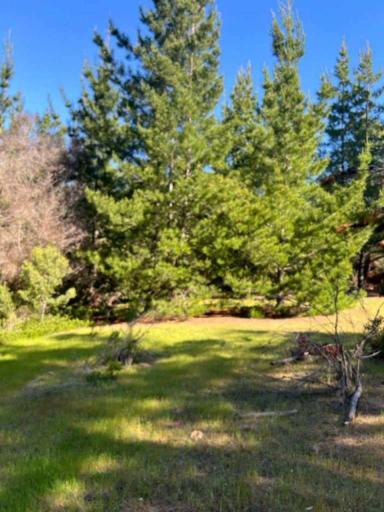 Terreno en venta en Pichilemu — foto 7